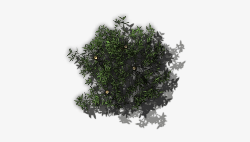 Qebf Bamboo Stand 5 - Moss, transparent png download