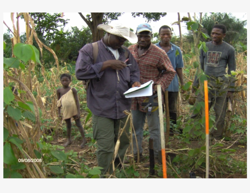 Projet Apap-k - Grass, transparent png download