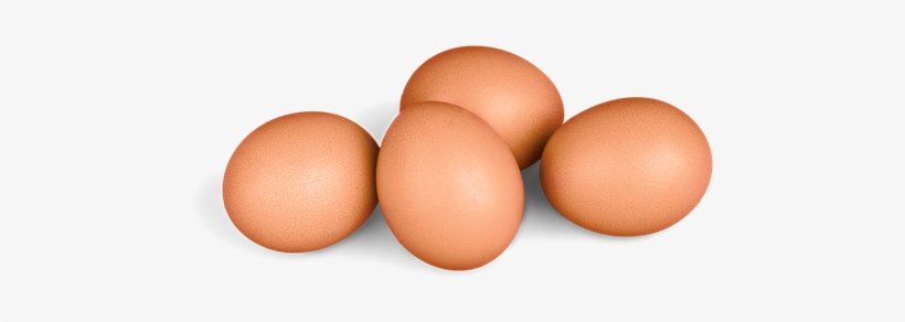 Eggs - Chicken, transparent png download