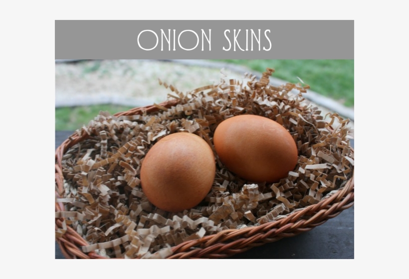 Onion Skin Eggs - Egg, transparent png download