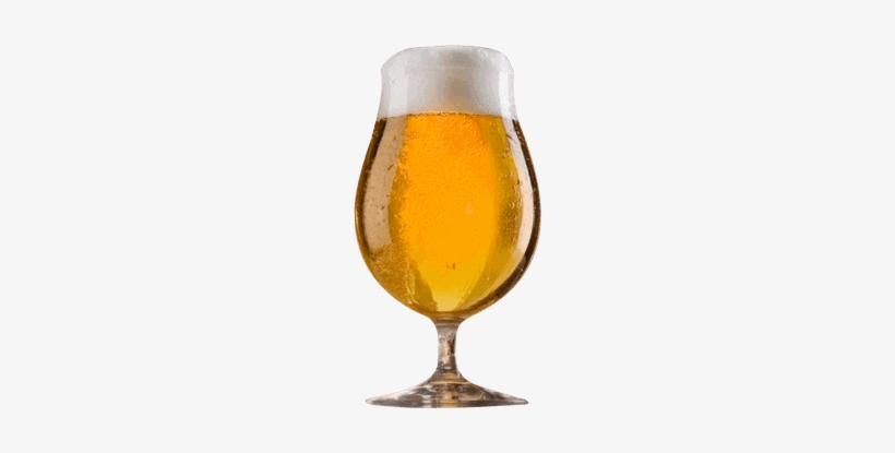 Cuadro Para La Categoría Importadas - Set Of 4 Spiegelau 15.5-oz Beer Tulip Glass | Bar &, transparent png download