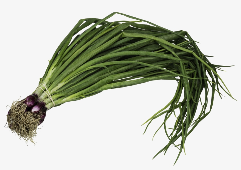 Kale - Planta De Cebolla De Verdeo, transparent png download