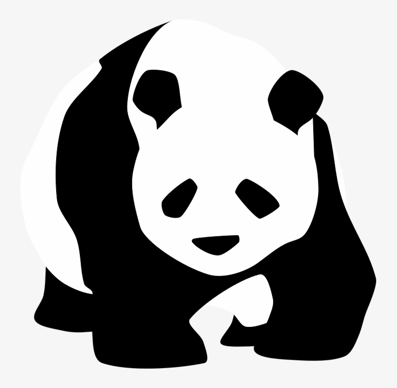 Rare Clipart Chinese Panda - Panda Black And White, transparent png download