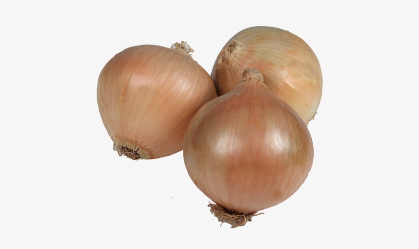 Early Slug Onion - Cebolla Babosa, transparent png download