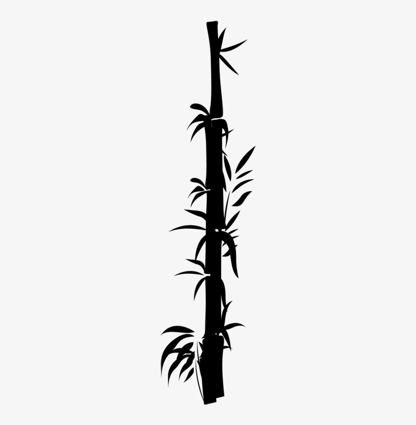 Bamboo Branch Decal - Tony Moly Bamboo Soothing Gel, transparent png download