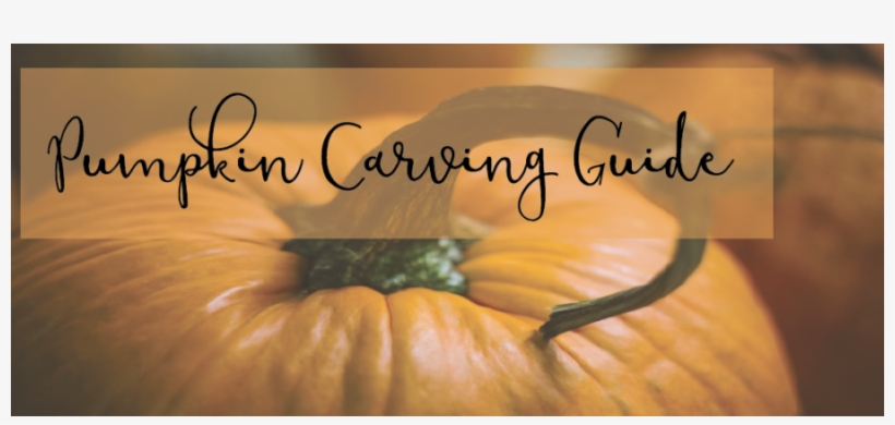 Picking Out Your Pumpkin - Pumpkin Fall Autumn Halloween Apple Iphone 6 Plus /, transparent png download