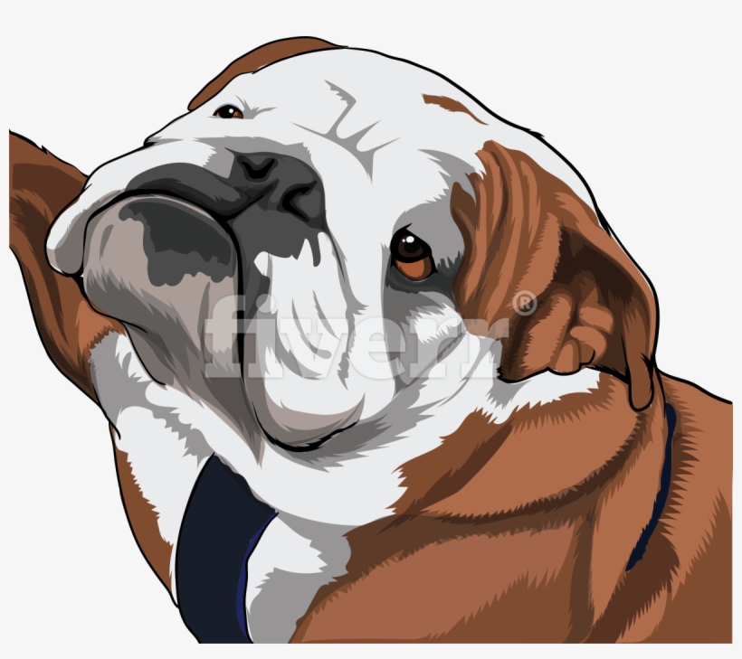 Pug, transparent png download