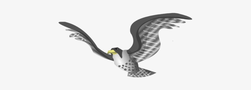 Illustration Of A Falcon - Bald Eagle, transparent png download