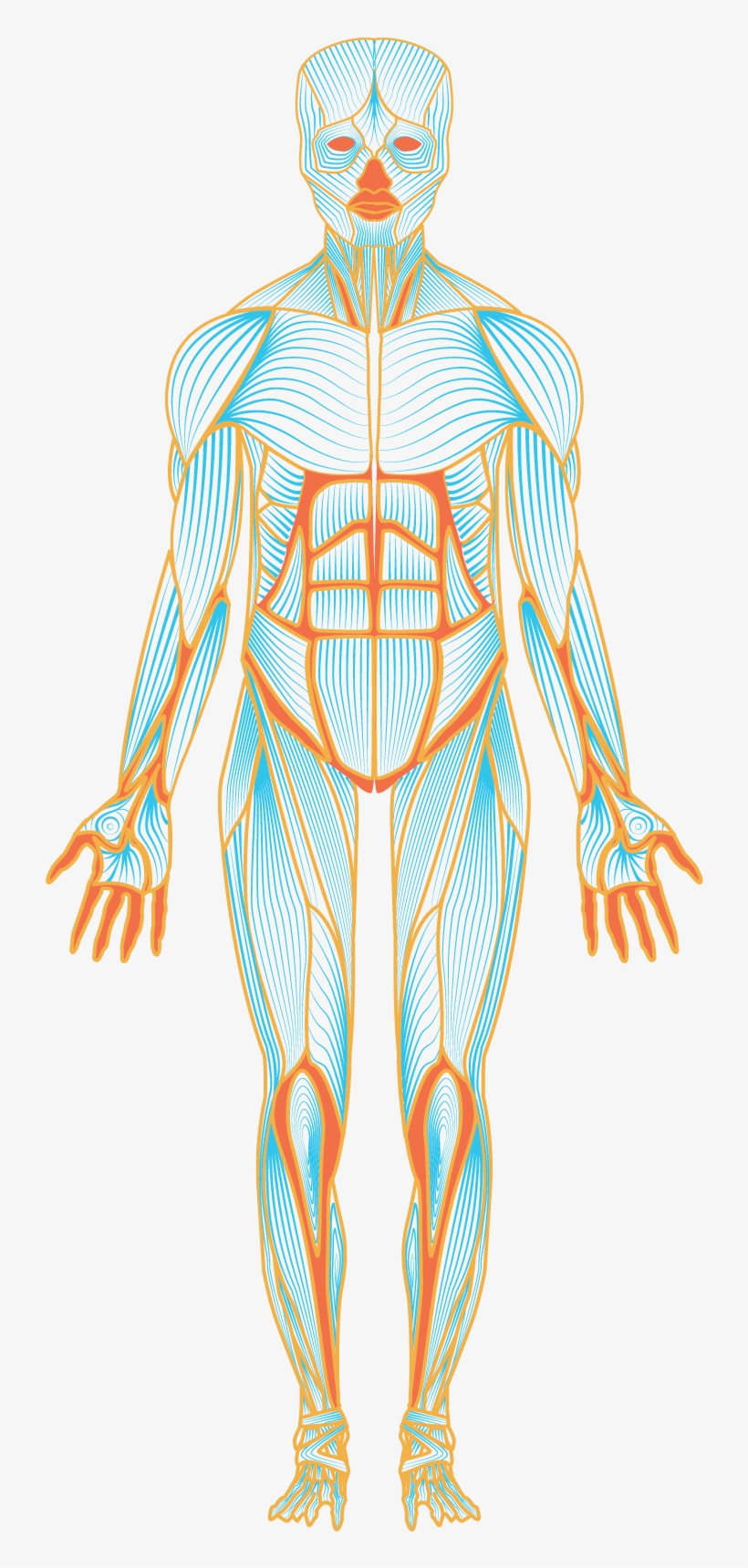 Illustration For The Corporate Design Of Paul Sandor - Illustration, transparent png download