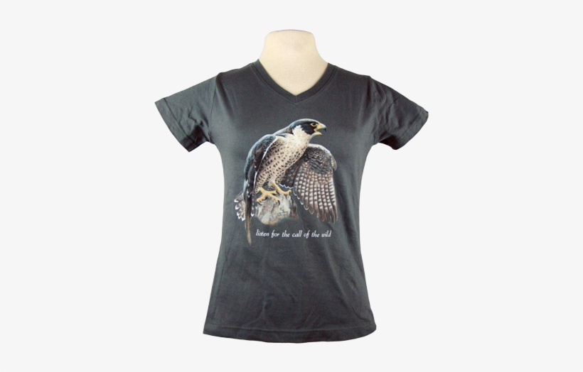 Peregrine Falcon - Shirt, transparent png download