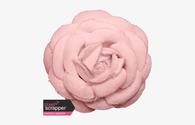 Our House Flower Pink - Garden Roses, transparent png download