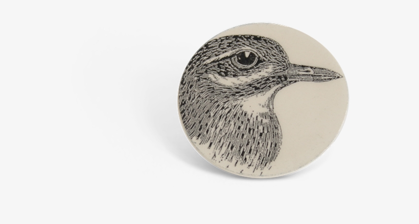 Titanium Ring, transparent png download