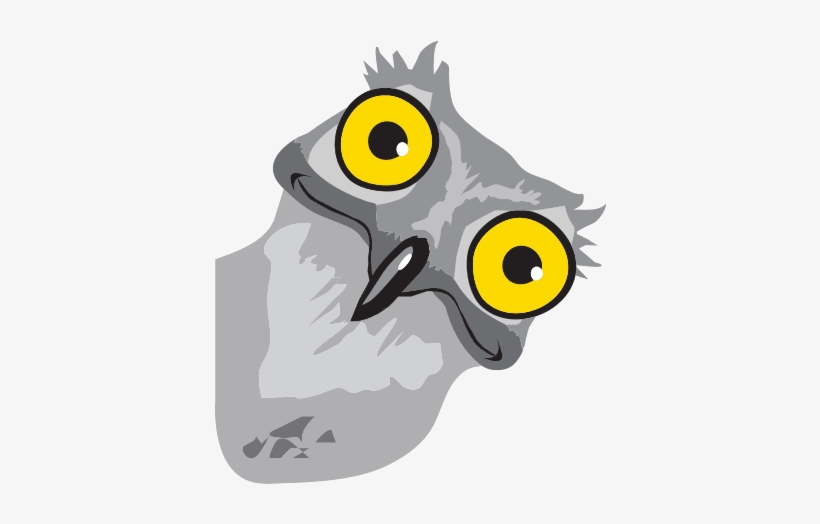 Potoo Bird Solo, transparent png download