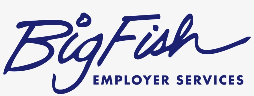 Human Resource Services - Big Fish Payroll, transparent png download