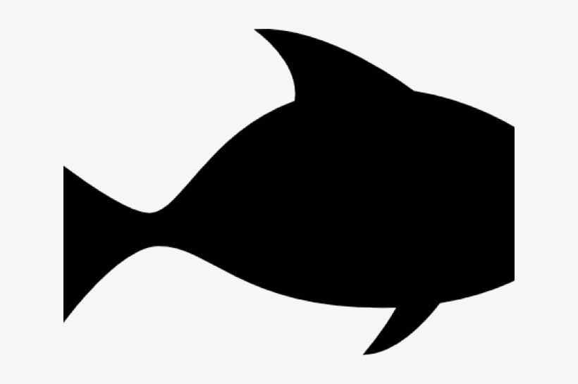 Marine Fish Clipart Big Fish - Cartilaginous Fish, transparent png download