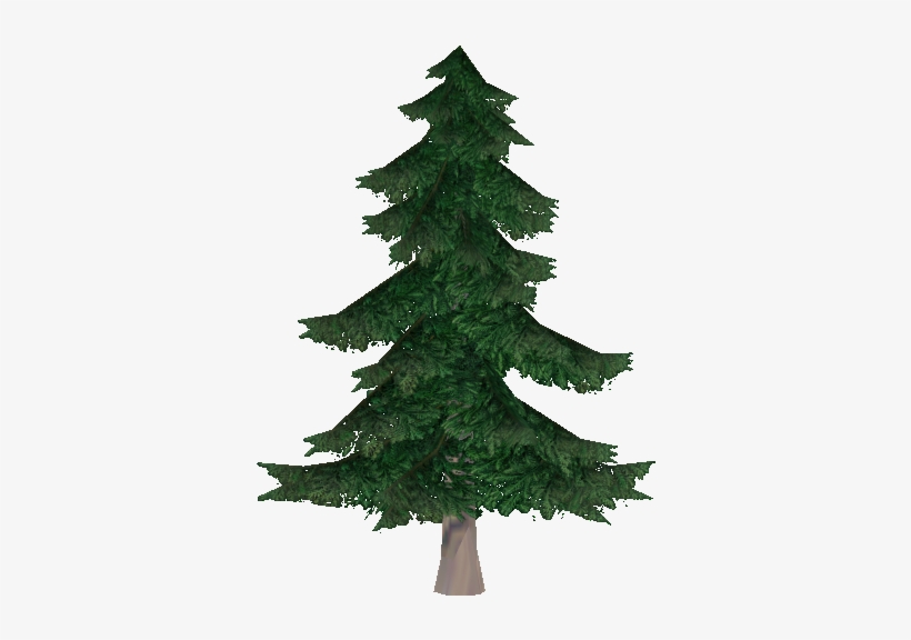 Silver Fir - Dell, transparent png download