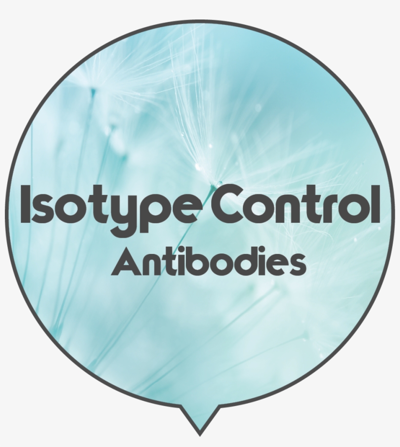 Non-targeting Species And Isotype Specific Control - Circle, transparent png download