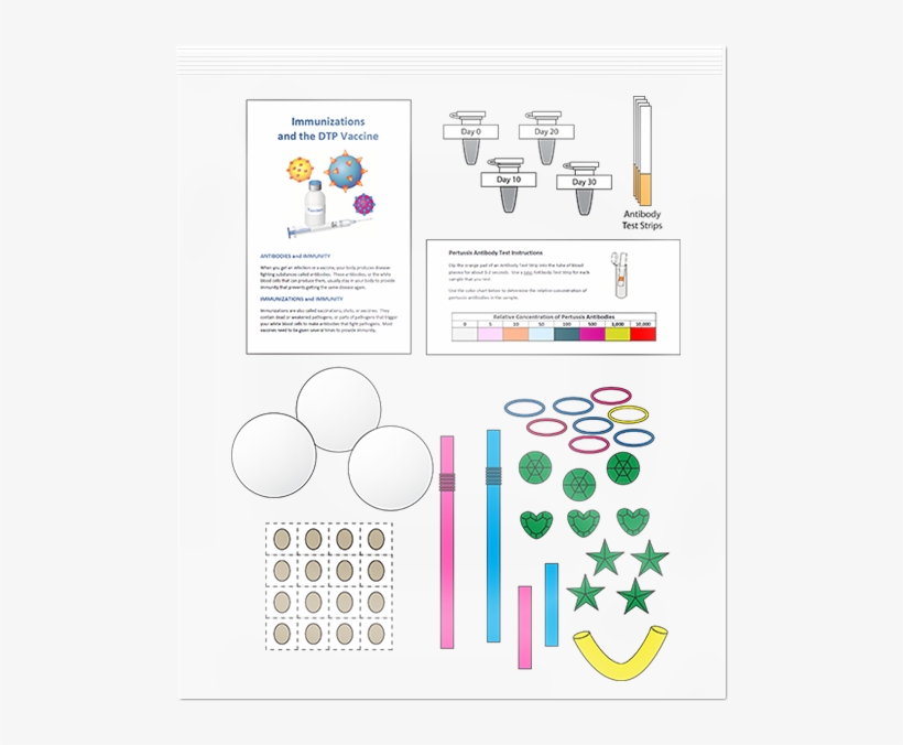 Pathogens, Antibodies, And Vaccines - Graphic Design, transparent png download