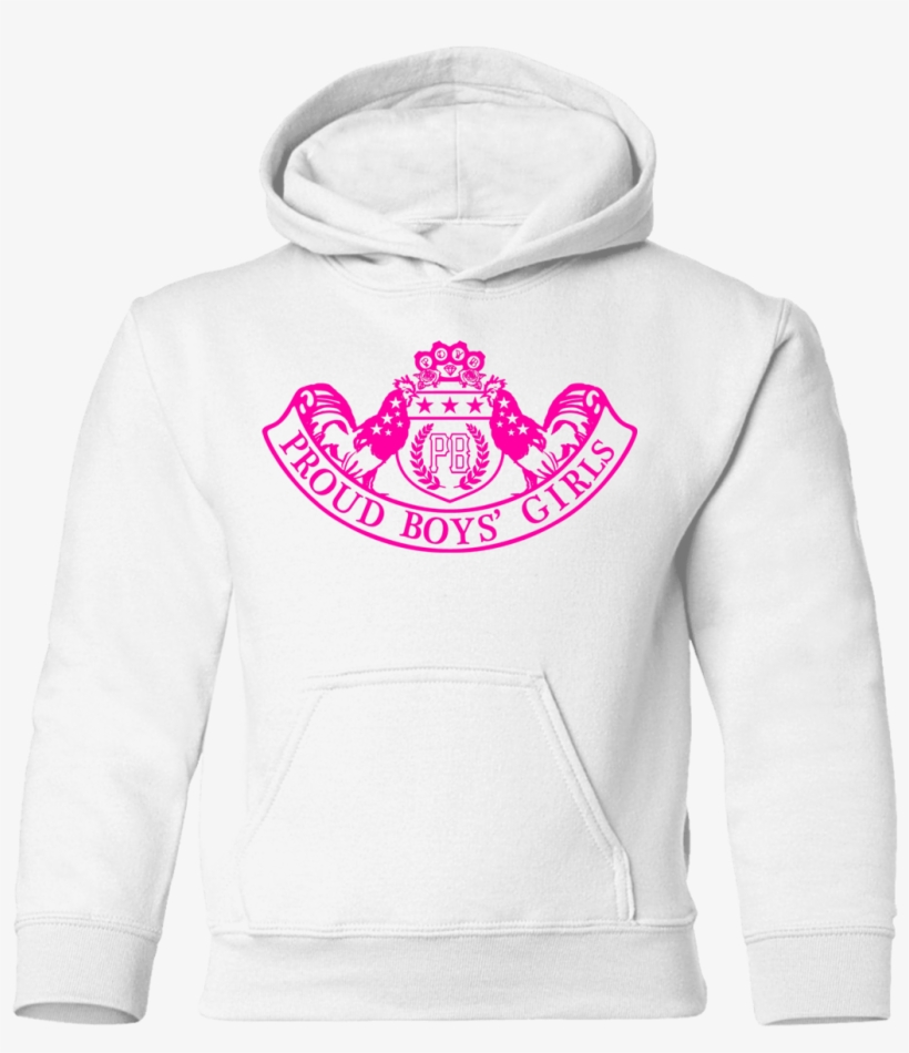 Toddler Pullover Hoodie - Aero Rep̼blica Vintage Logo Colombian Airline Hoody, transparent png download