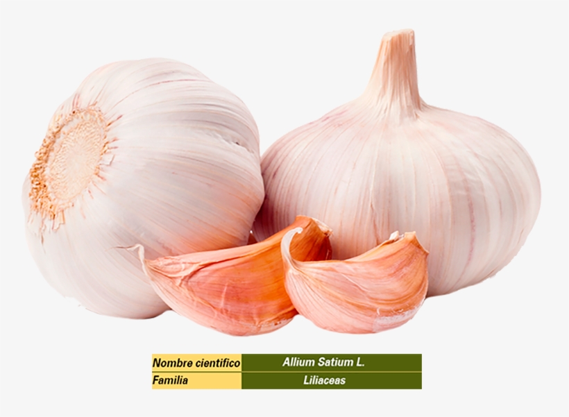 Ajo - Multi Functional Mini Grater Garlic Press, transparent png download