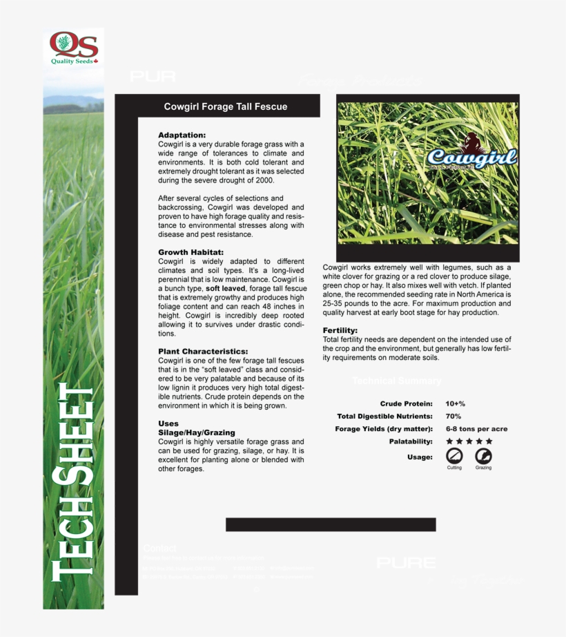 Cowgirl - Sweet Grass, transparent png download