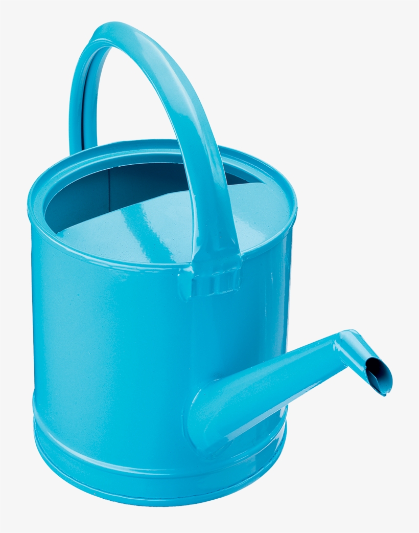 Most Are Hardy, Resistant To Pests And Diseases And, transparent png download