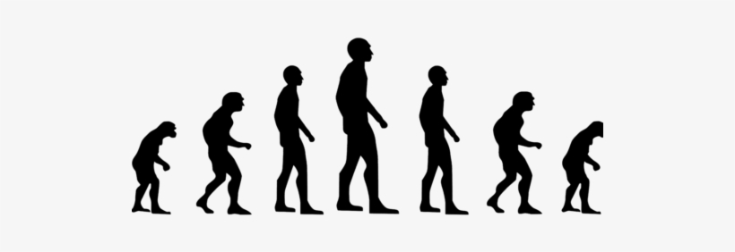 It's Talent Management That Drives Business Excellence - Phylogenetics: A Comprehensive Overview, transparent png download