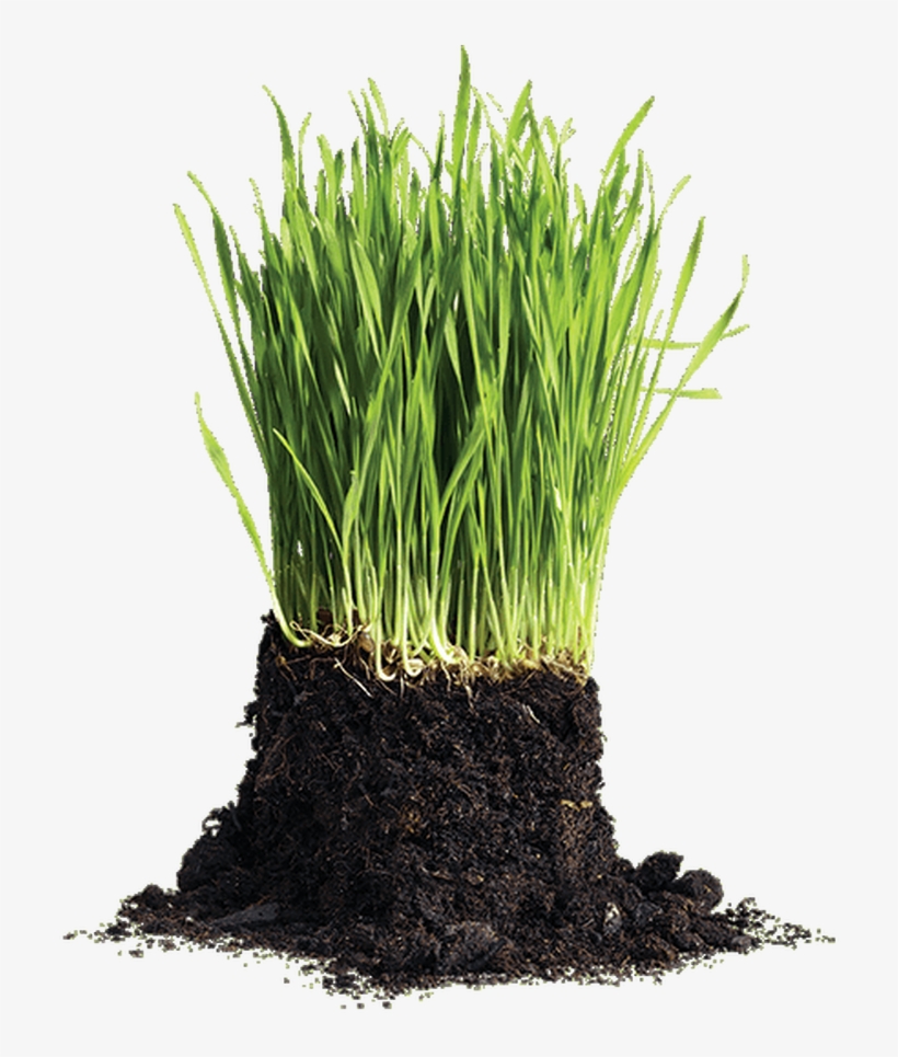 White Sand - Lawn Png, transparent png download