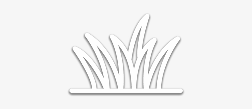 Lawn Care - Lawn, transparent png download