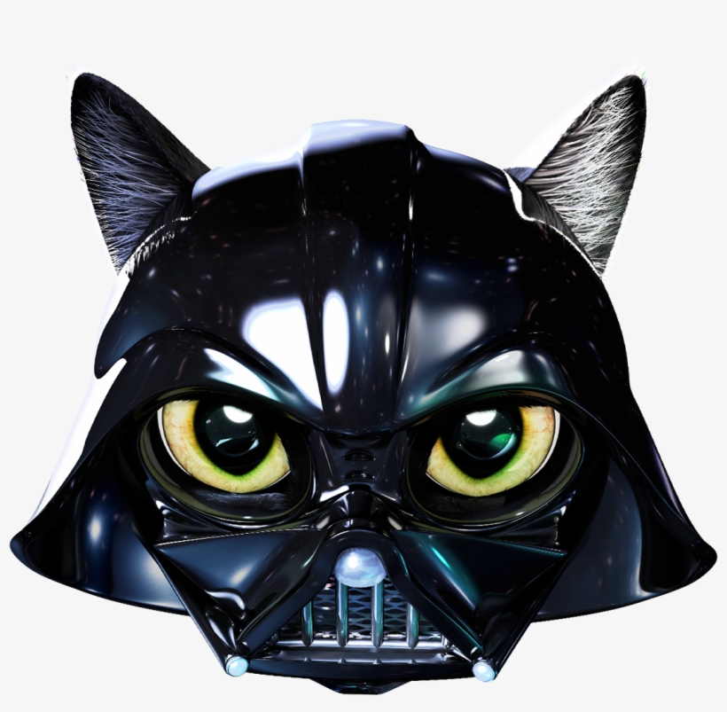 Cat, transparent png download