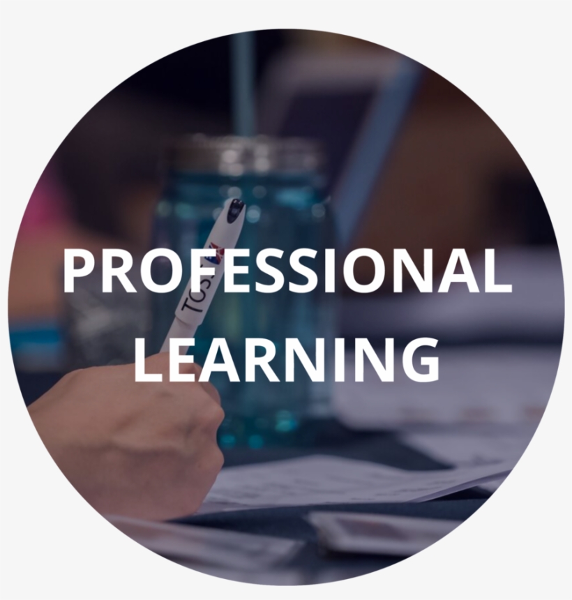 Untitled Page - Curso De Direito Processual Penal 10ª Edição Nestor, transparent png download