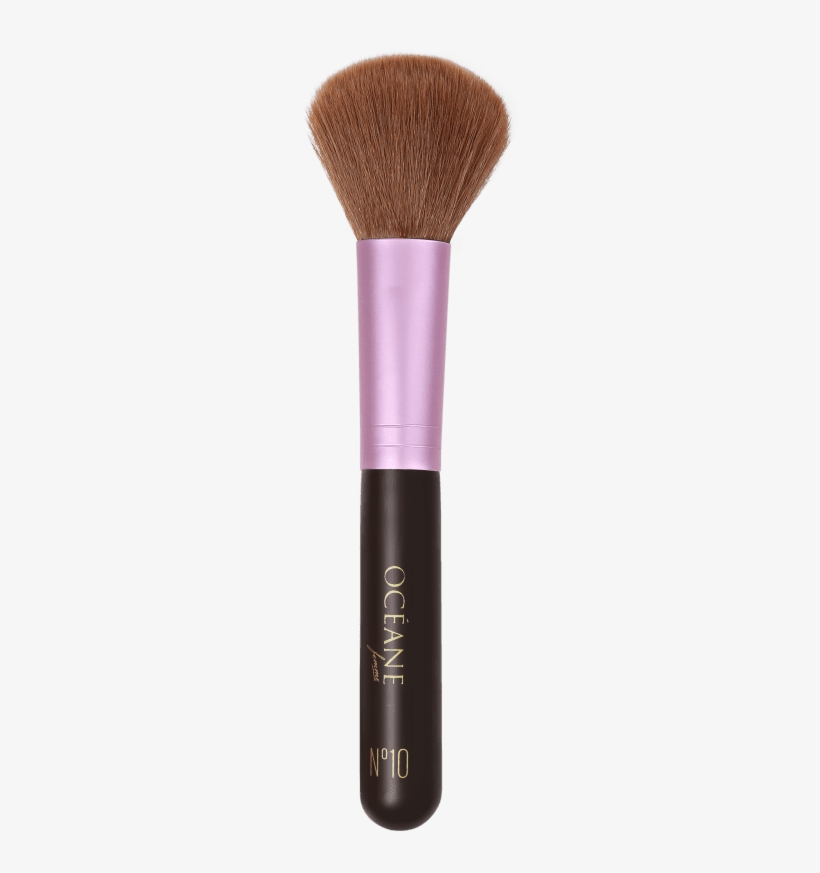 Paintbrush, transparent png download