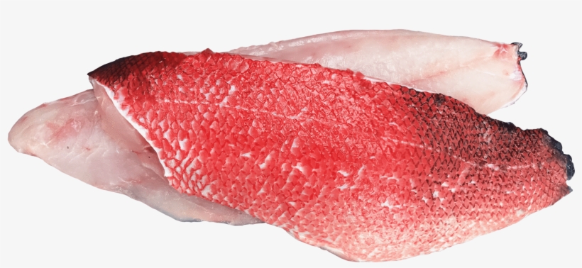 Load Image Into Gallery Viewer, California Sheephead, - California Sheephead, transparent png download