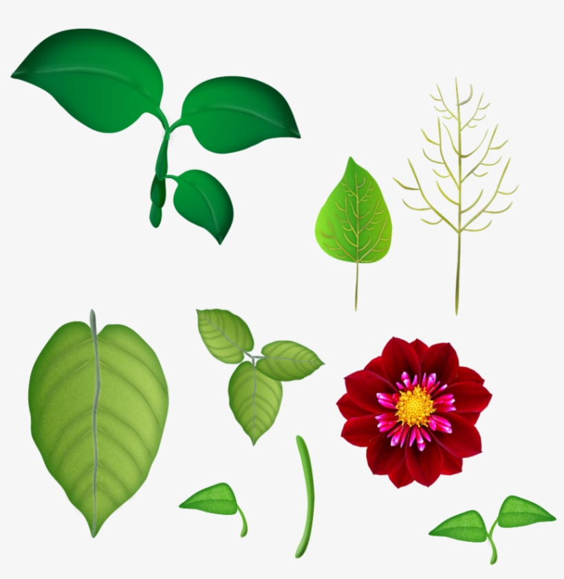 Flores E Folhas Png - Portable Network Graphics, transparent png download