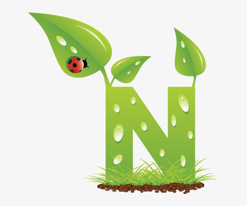 Blindada Por Deus - Green, transparent png download