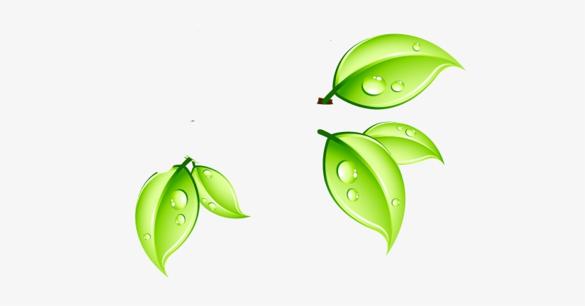 Web Page, transparent png download