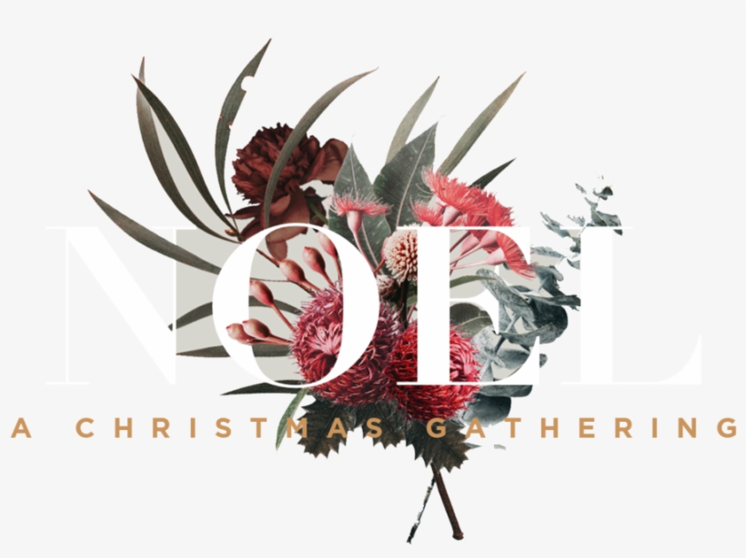 Noel Header Logo - Portable Network Graphics, transparent png download