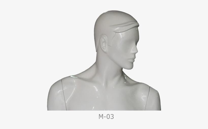 Cabeca Manequim Masculina M03 2 - Manequim Masculino De Busto Com Cabeca, transparent png download