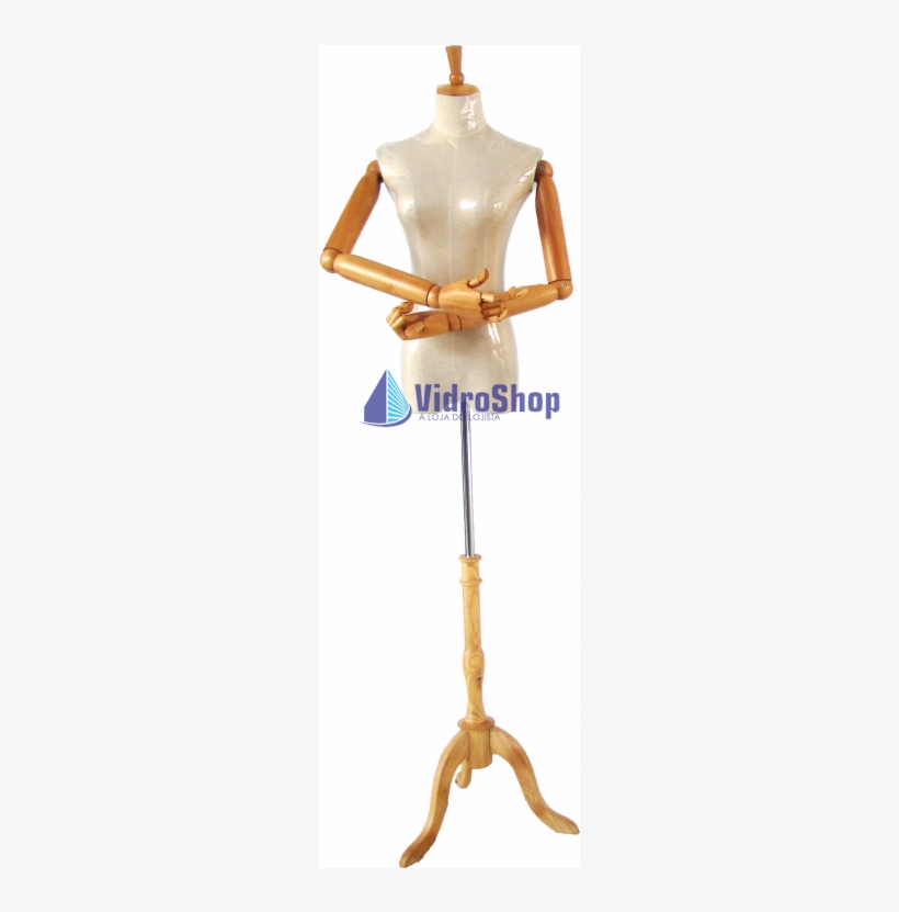 Bust, transparent png download