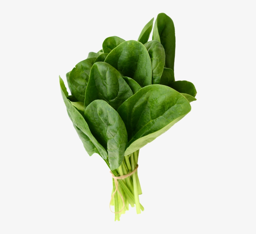 As Folhas Não Devem Estar Murchas E Deves Estar Isentas - Soil Me Spinach (palak) - Pack Of 100 Seeds, transparent png download
