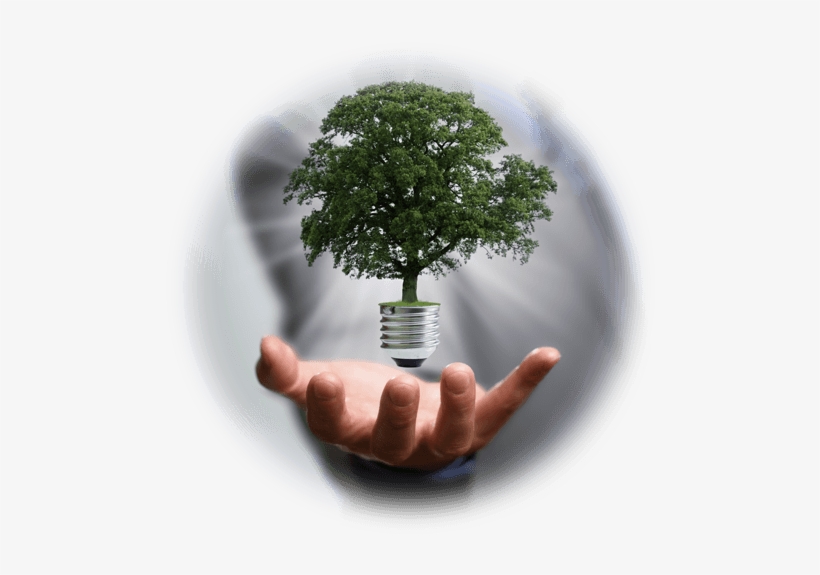 Aprenda A Se Expressar 1 - Change Sustainability, transparent png download