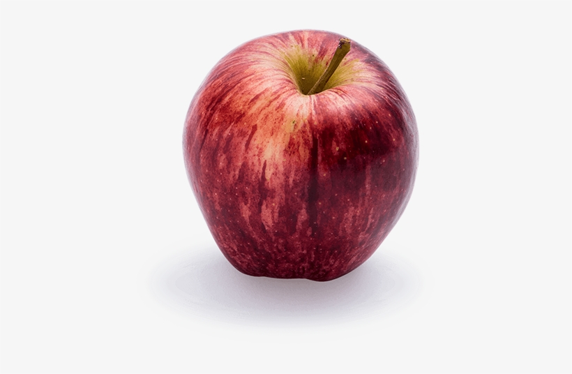 Auckland, transparent png download