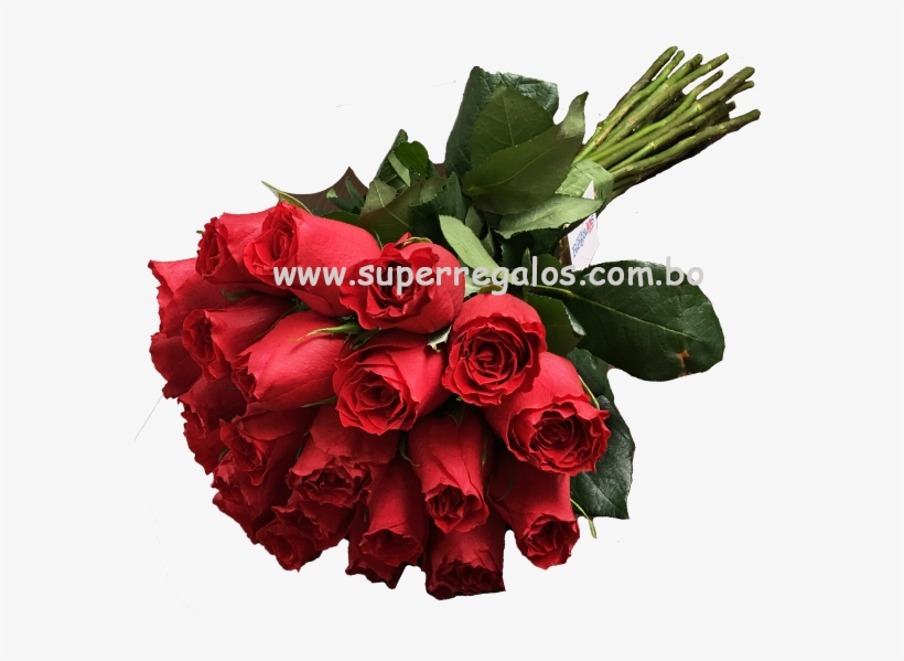 Bouquet De 24 Rosas - Garden Roses, transparent png download