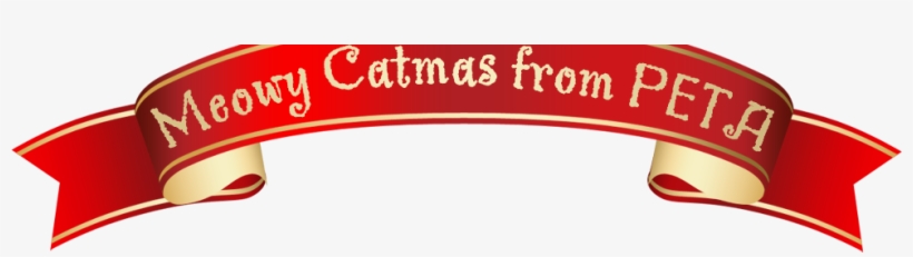 Meowy Catmas From Peta - Baptist Questions, Baptist Answers: Exploring Christian, transparent png download