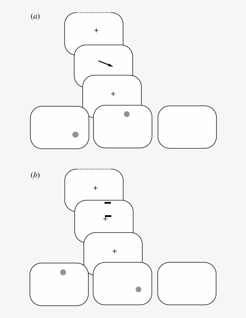 The Sequence Used In The Central-cueing Experiment - Card Game, transparent png download