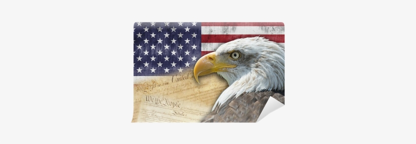 Bandera Y Símbolos De Los Estados Unidos De América - American History: Us History: An Overview, transparent png download