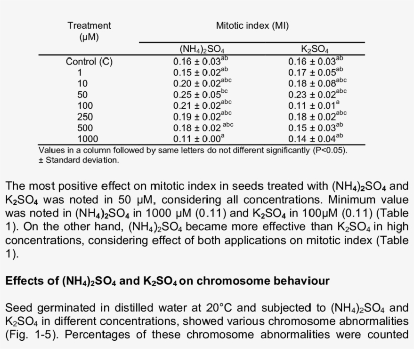 Mitotic Index In V - Mitotic Index, transparent png download