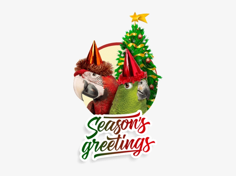 Seasons Greetings From Lafeber - Season, transparent png download