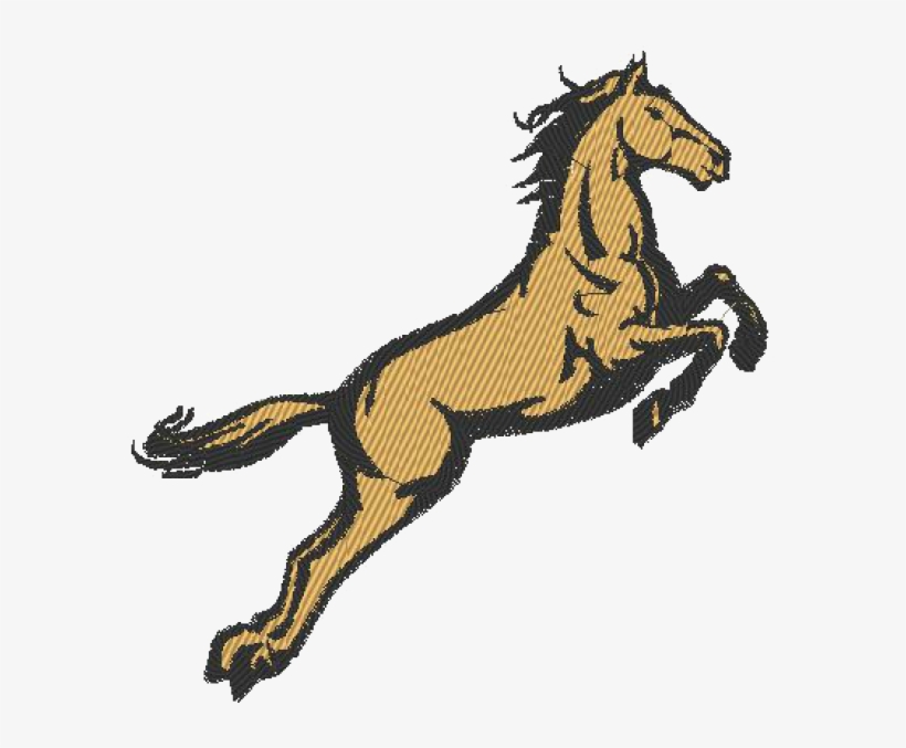 Horse, transparent png download