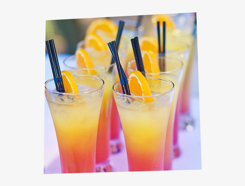 Get Your High Class Cocktails Here - Drink, transparent png download